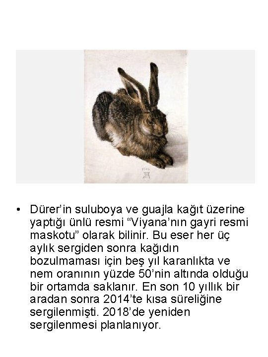  • Dürer’in suluboya ve guajla kağıt üzerine yaptığı ünlü resmi “Viyana’nın gayri resmi