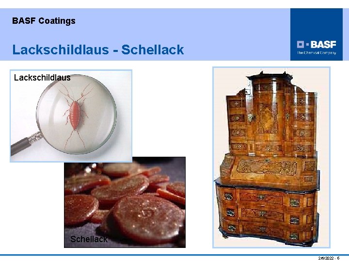 BASF Coatings Lackschildlaus - Schellack Lackschildlaus Spritzlackierung Schellack 2/6/2022 - 5 