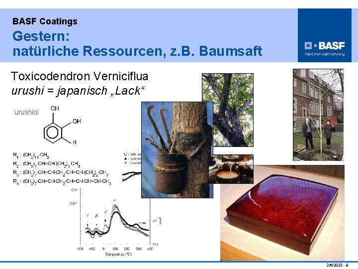 BASF Coatings Gestern: natürliche Ressourcen, z. B. Baumsaft Toxicodendron Verniciflua urushi = japanisch „Lack“