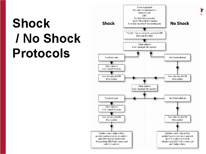 Shock / No Shock Protocols 11 
