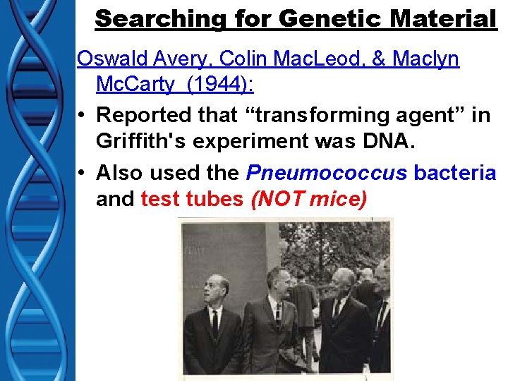 Searching for Genetic Material Oswald Avery, Colin Mac. Leod, & Maclyn Mc. Carty (1944):