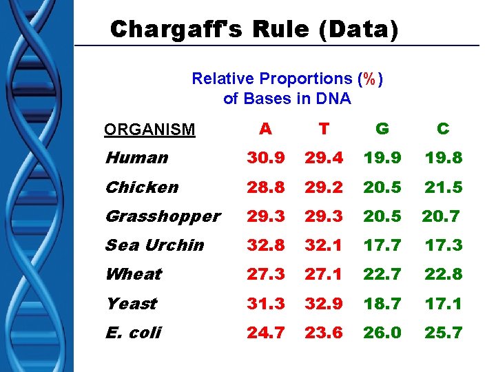 Chargaff's Rule (Data) Relative Proportions (%) of Bases in DNA A T G C