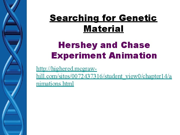 Searching for Genetic Material Hershey and Chase Experiment Animation http: //highered. mcgrawhill. com/sites/0072437316/student_view 0/chapter