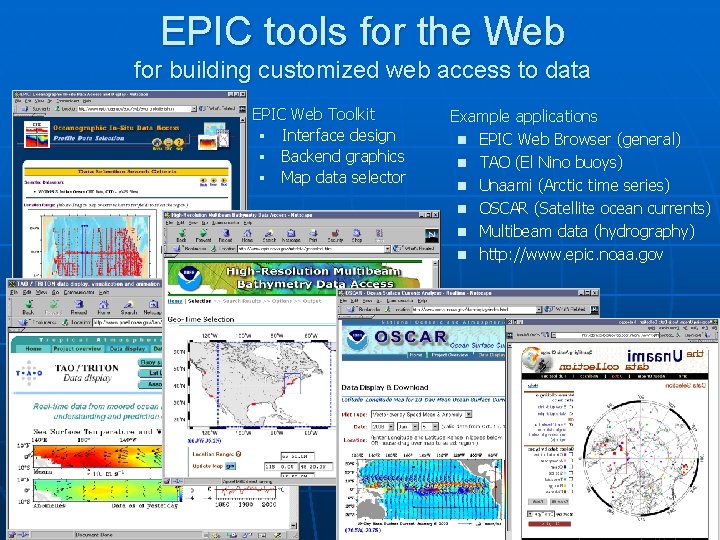 EPIC tools for the Web for building customized web access to data EPIC Web