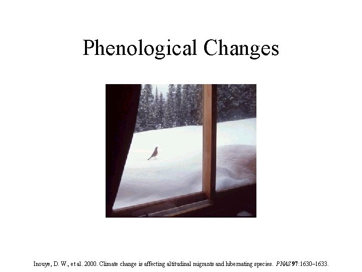 Phenological Changes Inouye, D. W. , et al. 2000. Climate change is affecting altitudinal