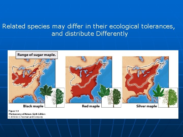 Related species may differ in their ecological tolerances, and distribute Differently 