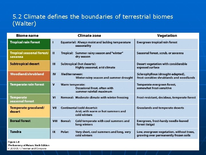 5. 2 Climate defines the boundaries of terrestrial biomes (Walter) 