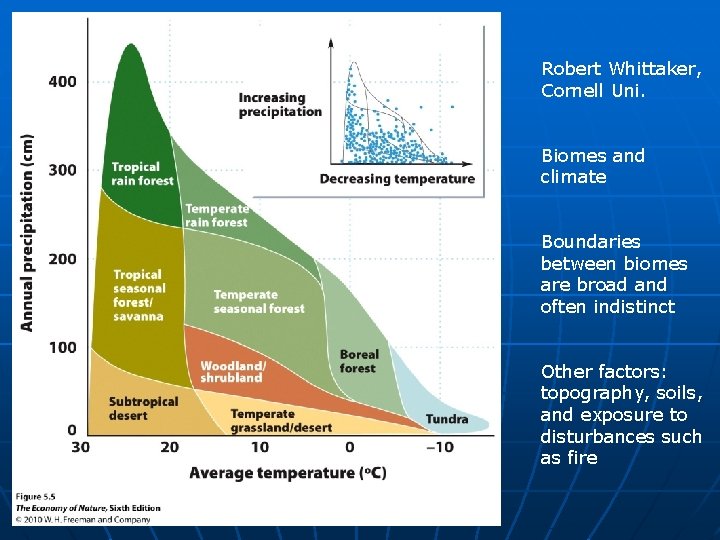 Robert Whittaker, Cornell Uni. Biomes and climate Boundaries between biomes are broad and often