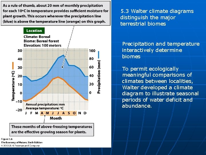 5. 3 Walter climate diagrams distinguish the major terrestrial biomes Precipitation and temperature interactively