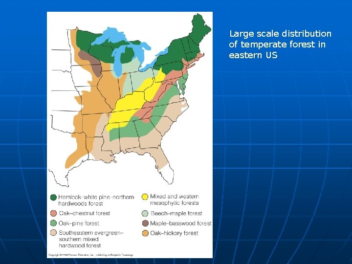 Large scale distribution of temperate forest in eastern US 