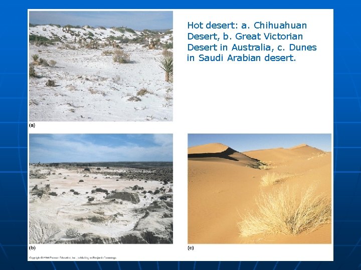 Hot desert: a. Chihuahuan Desert, b. Great Victorian Desert in Australia, c. Dunes in