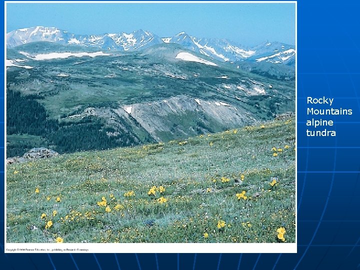 Rocky Mountains alpine tundra 