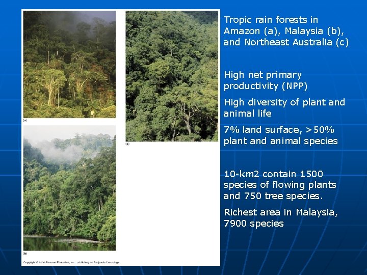Tropic rain forests in Amazon (a), Malaysia (b), and Northeast Australia (c) High net