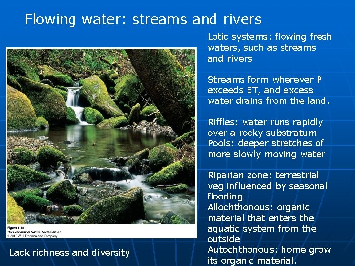 Flowing water: streams and rivers Lotic systems: flowing fresh waters, such as streams and