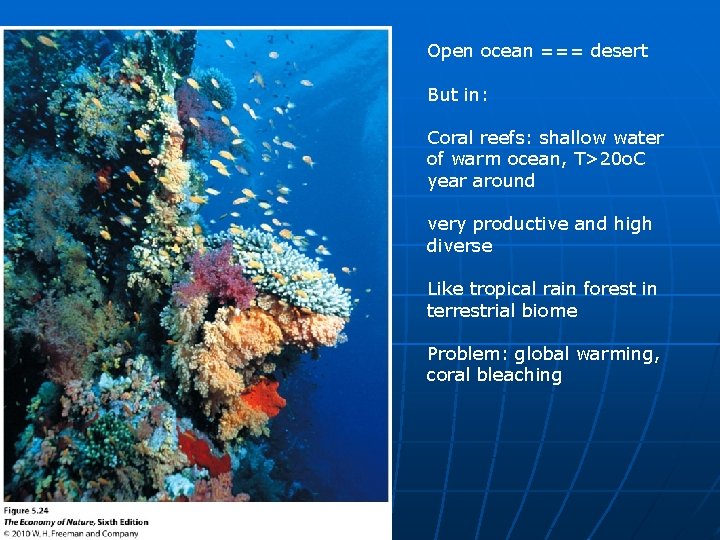 Open ocean === desert But in: Coral reefs: shallow water of warm ocean, T>20
