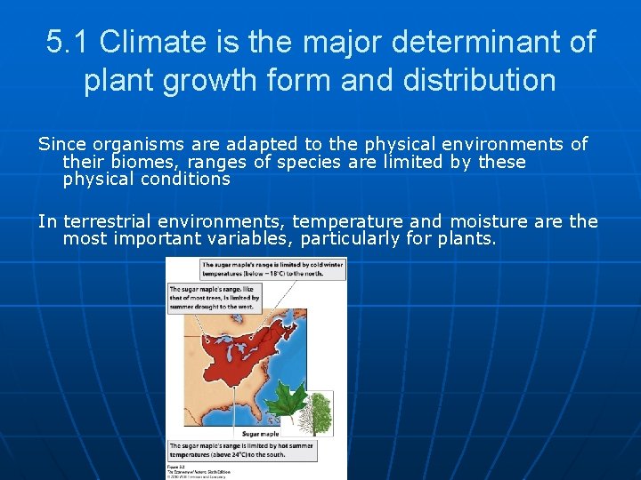 5. 1 Climate is the major determinant of plant growth form and distribution Since