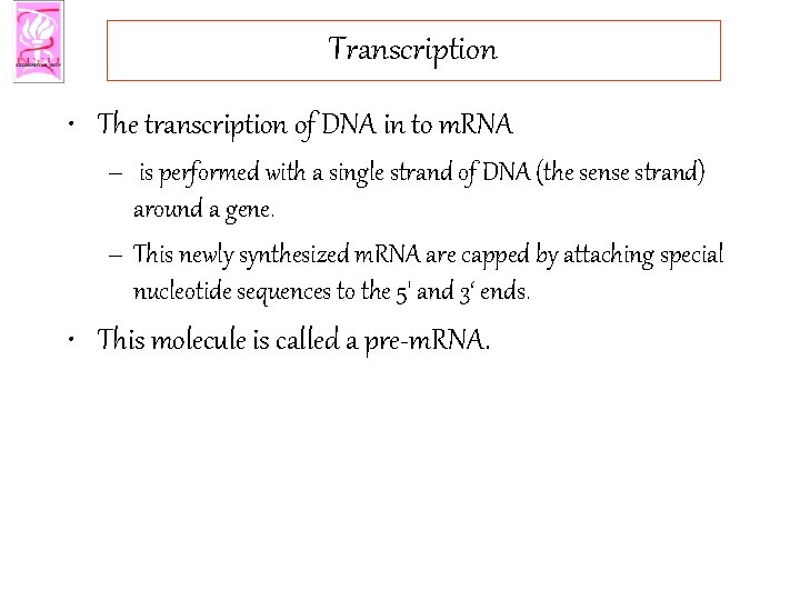 Transcription • The transcription of DNA in to m. RNA – is performed with