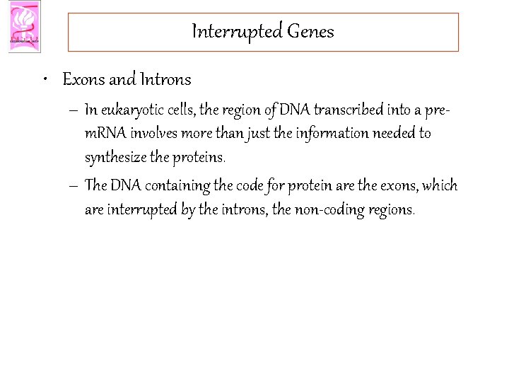 Interrupted Genes • Exons and Introns – In eukaryotic cells, the region of DNA