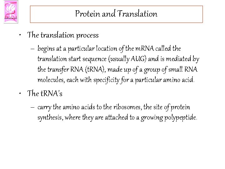 Protein and Translation • The translation process – begins at a particular location of