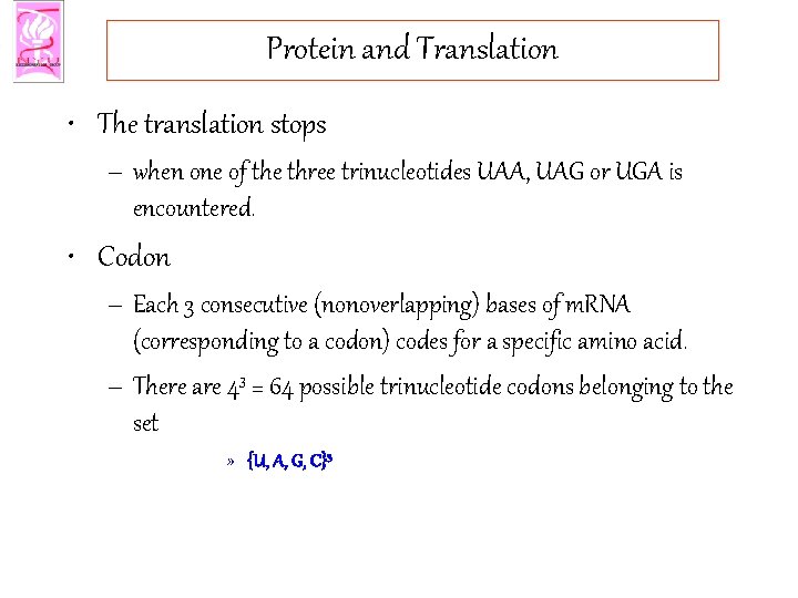Protein and Translation • The translation stops – when one of the three trinucleotides