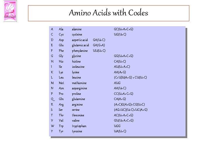 Amino Acids with Codes A C D E F G H I K L