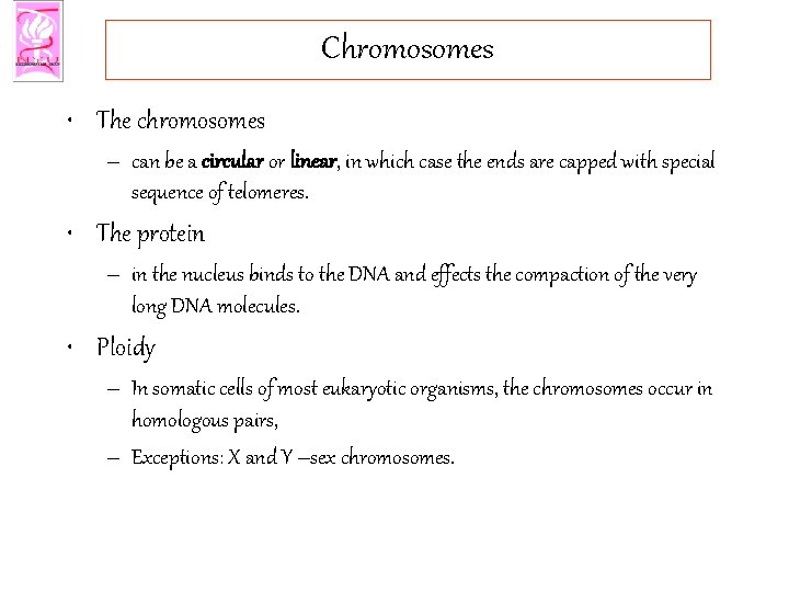 Chromosomes • The chromosomes – can be a circular or linear, in which case