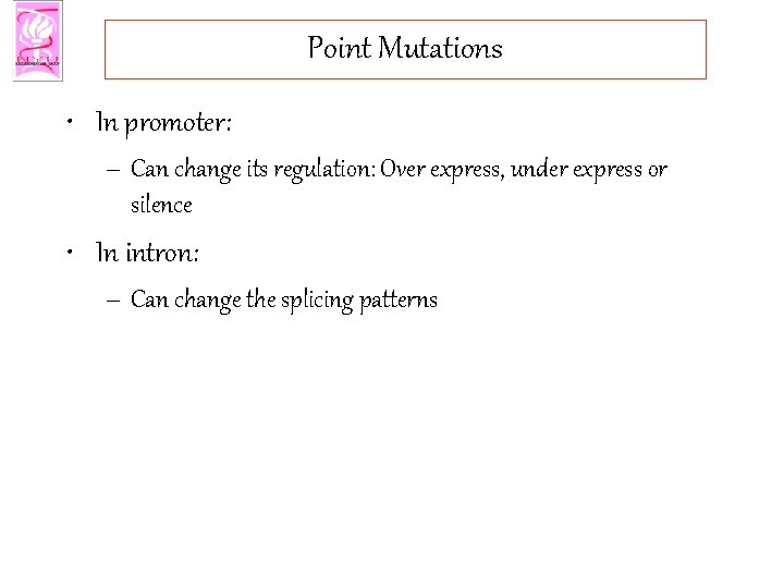 Point Mutations • In promoter: – Can change its regulation: Over express, under express