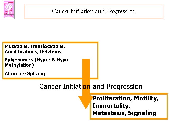 Cancer Initiation and Progression Mutations, Translocations, Amplifications, Deletions Epigenomics (Hyper & Hypo. Methylation) Alternate