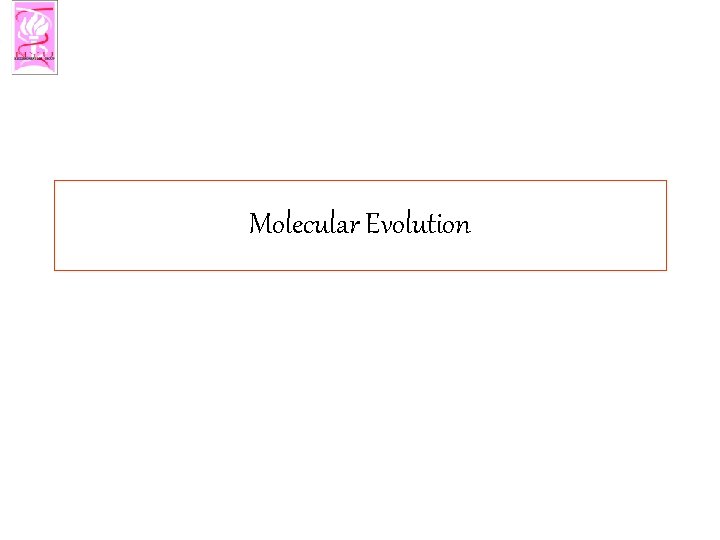 Molecular Evolution 