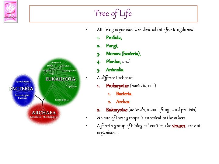 Tree of Life • • All living organisms are divided into five kingdoms: 1.