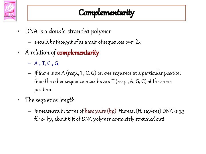 Complementarity • DNA is a double-stranded polymer – should be thought of as a