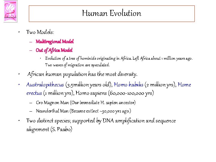 Human Evolution • Two Models: – Multiregional Model – Out of Africa Model •