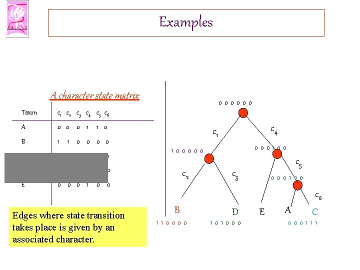 Examples A character state matrix Taxon c 1 c 2 c 3 c 4