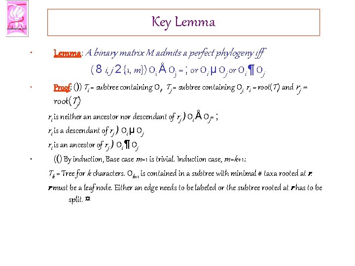 Key Lemma • Lemma: A binary matrix M admits a perfect phylogeny iff (