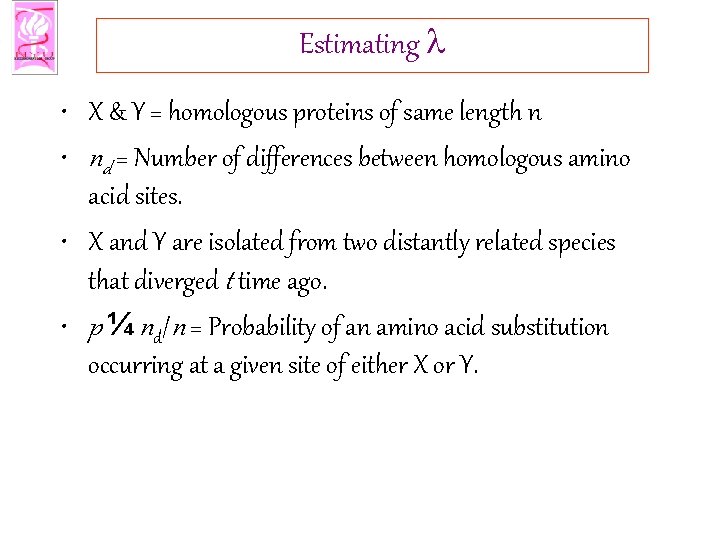 Estimating l • X & Y = homologous proteins of same length n •