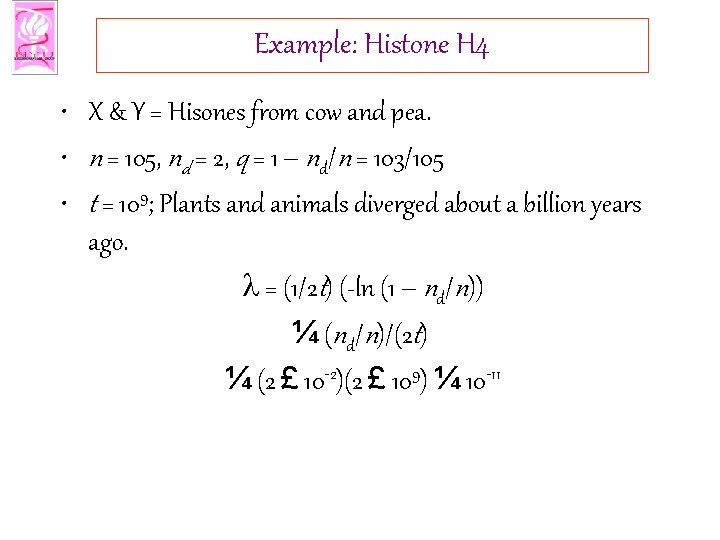 Example: Histone H 4 • X & Y = Hisones from cow and pea.