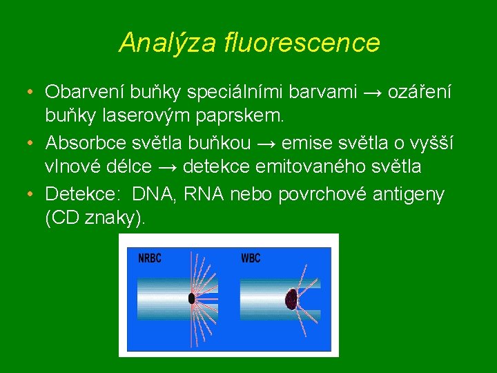 Analýza fluorescence • Obarvení buňky speciálními barvami → ozáření buňky laserovým paprskem. • Absorbce