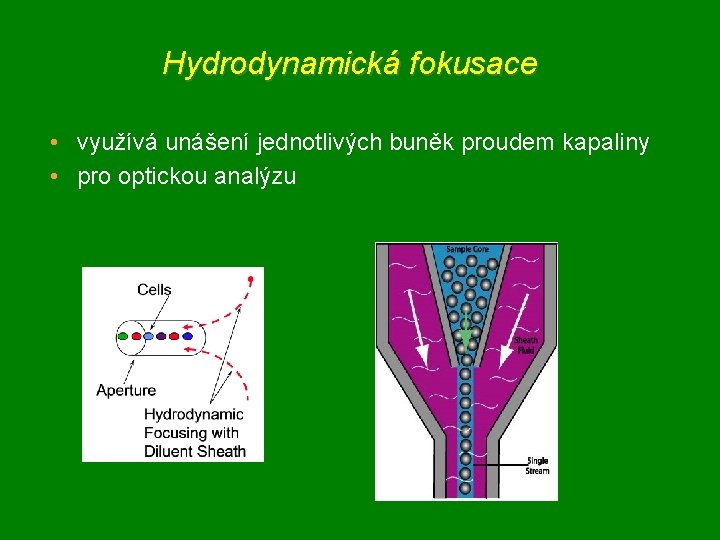 Hydrodynamická fokusace • využívá unášení jednotlivých buněk proudem kapaliny • pro optickou analýzu 