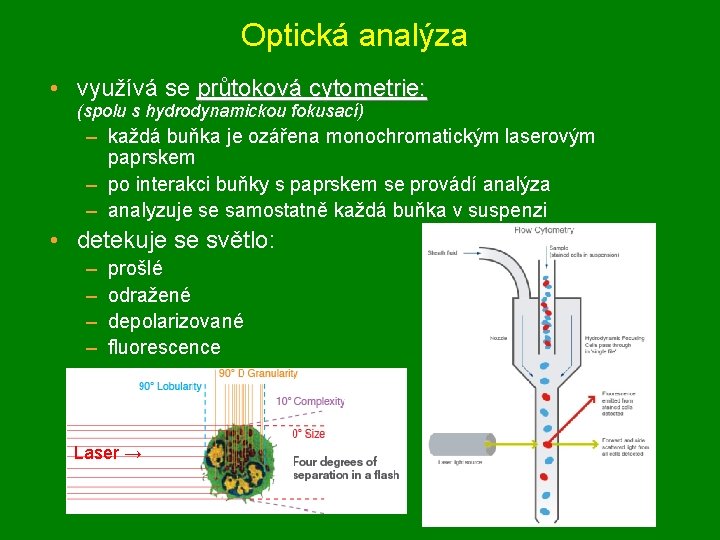 Optická analýza • využívá se průtoková cytometrie: (spolu s hydrodynamickou fokusací) – každá buňka