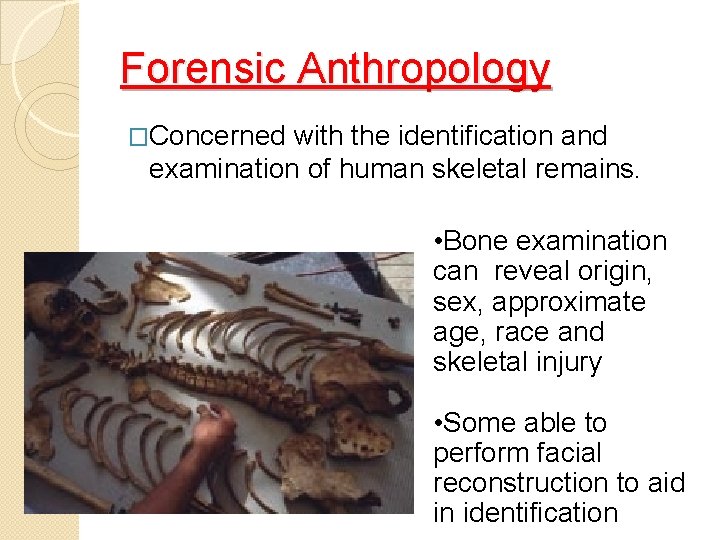 Forensic Anthropology �Concerned with the identification and examination of human skeletal remains. • Bone