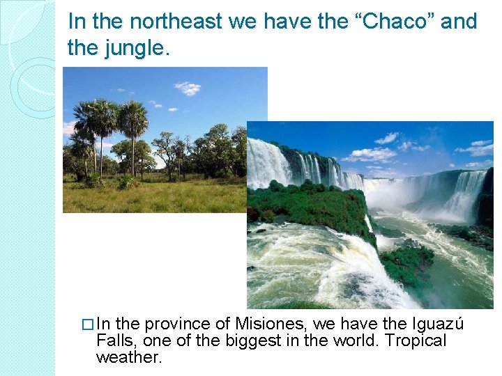 In the northeast we have the “Chaco” and the jungle. � In the province