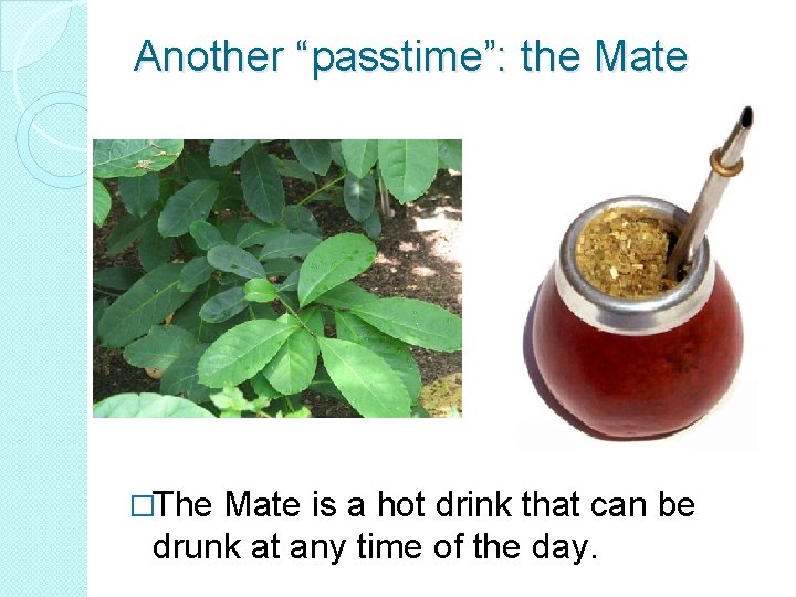 Another “passtime”: the Mate �The Mate is a hot drink that can be drunk
