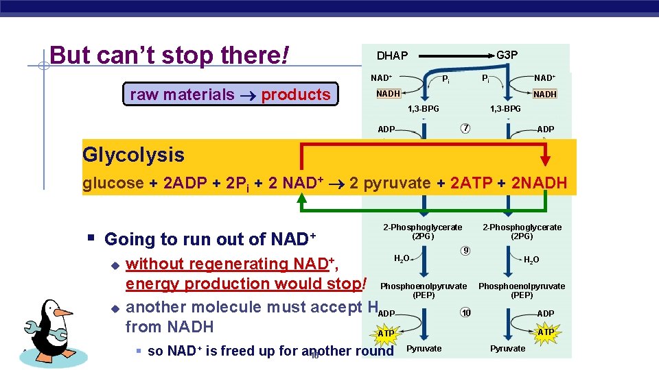 But can’t stop there! G 3 P DHAP NAD+ raw materials products Pi +