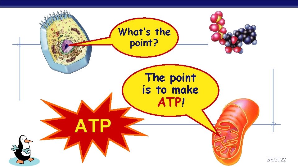 What’s the point? The point is to make ATP! ATP AP Biology 2/6/2022 
