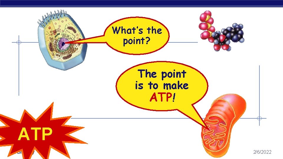 What’s the point? The point is to make ATP! ATP AP Biology 2/6/2022 