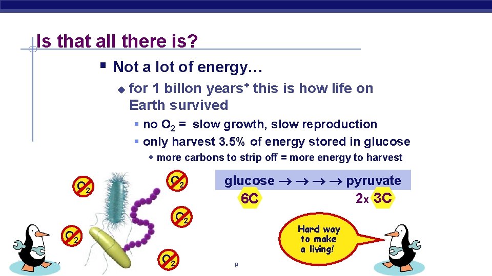 Is that all there is? § Not a lot of energy… u for 1