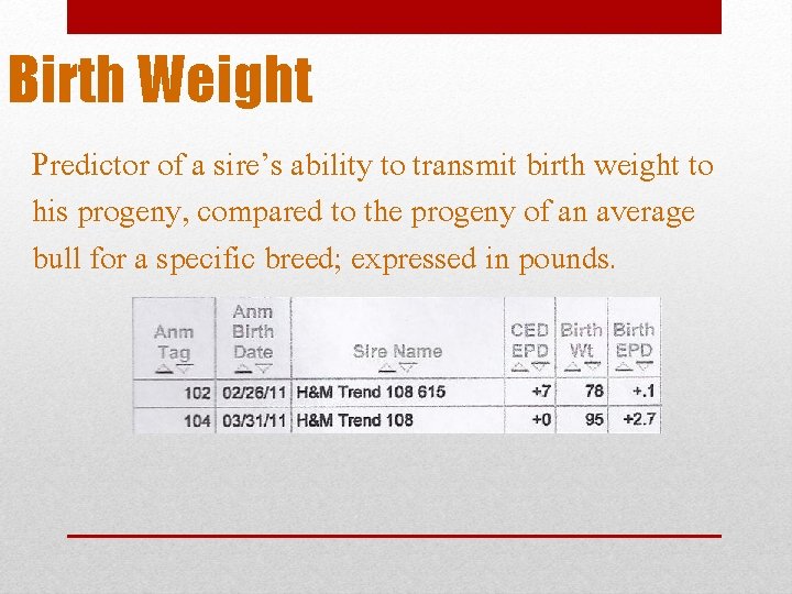 Birth Weight Predictor of a sire’s ability to transmit birth weight to his progeny,