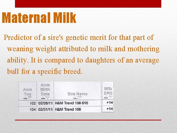 Maternal Milk Predictor of a sire's genetic merit for that part of weaning weight