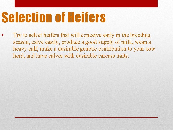 Selection of Heifers • Try to select heifers that will conceive early in the