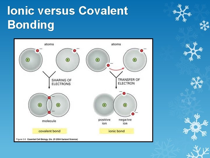 Ionic versus Covalent Bonding 
